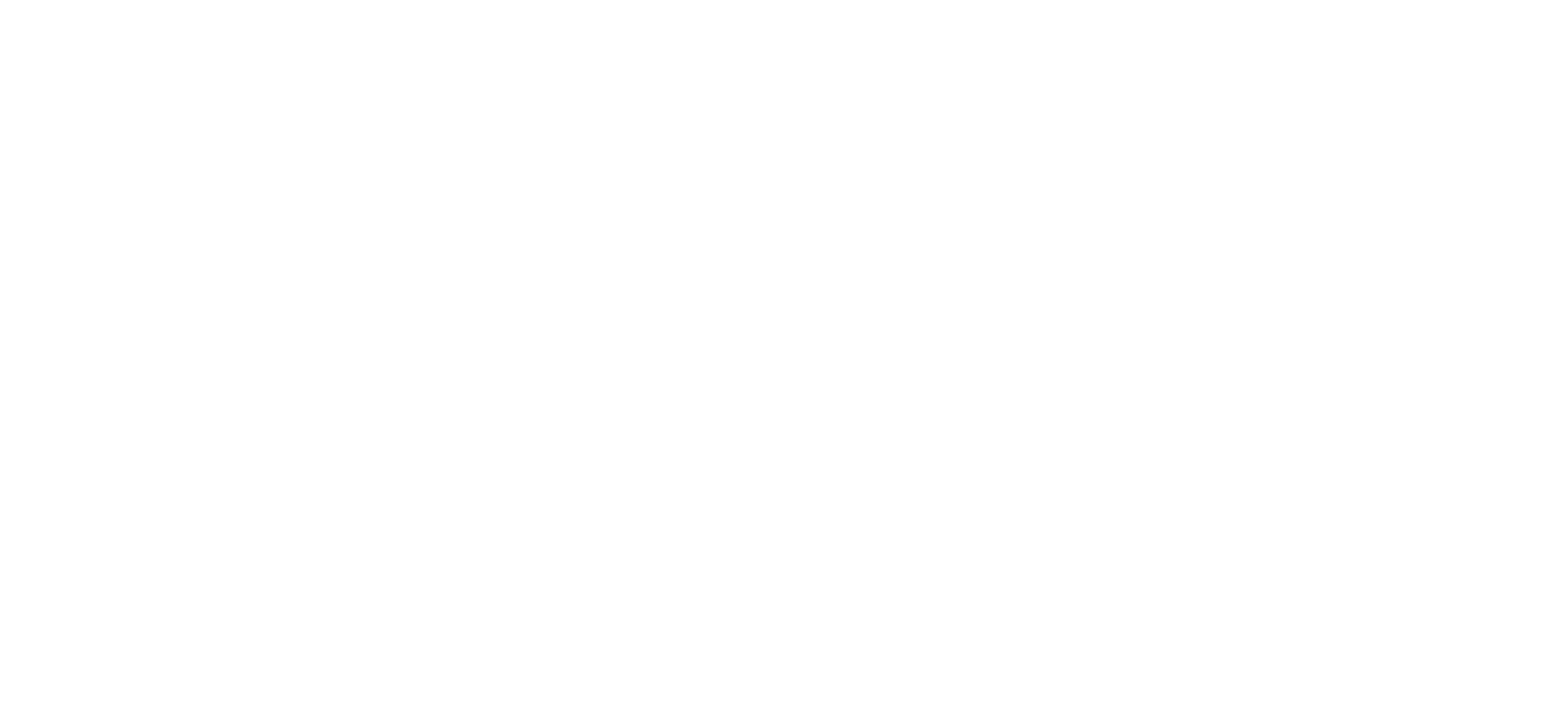SAB INVESTMENT